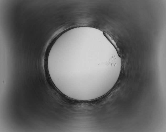 X0000093390244200711081611