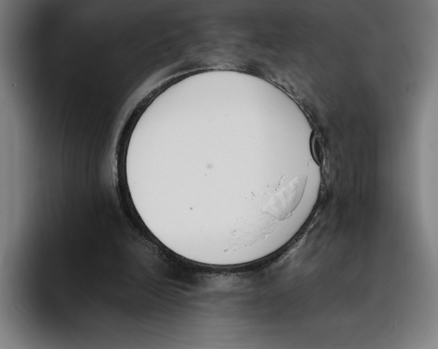 X0000093390246200711081611