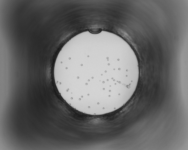 X0000093390249200711081611