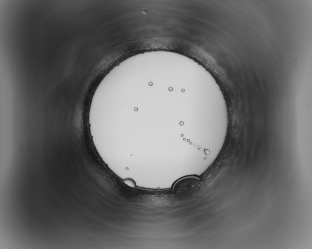 X0000093390250200711081611