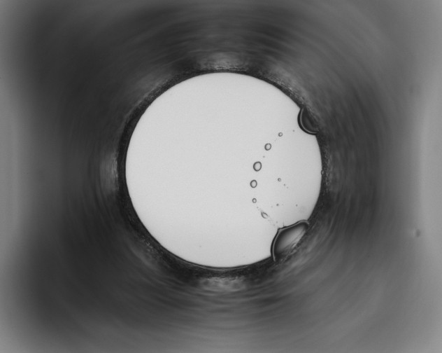 X0000093390251200711081611