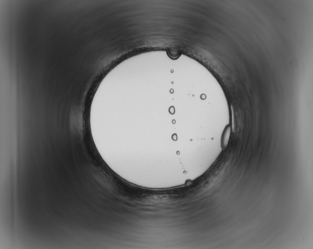 X0000093390252200711081611