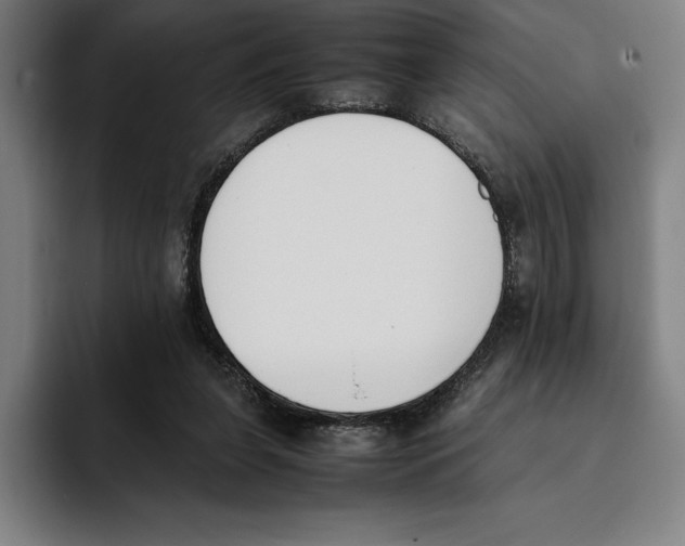 X0000093390255200711081611