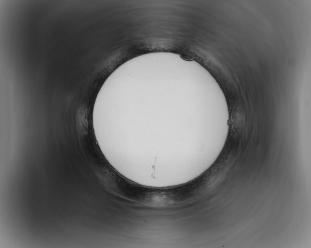 X0000093390264200711081611