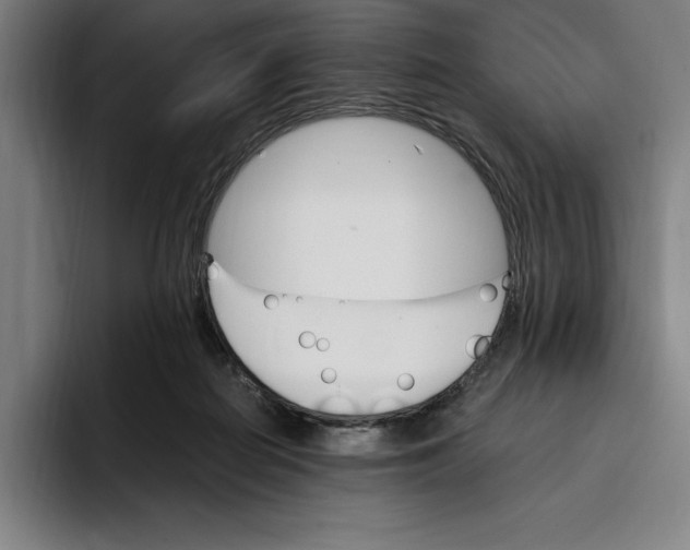 X0000093390266200711081611