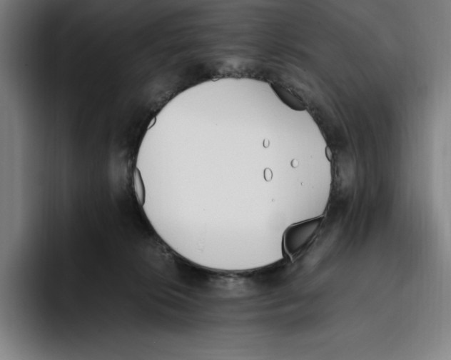 X0000093390276200711081612