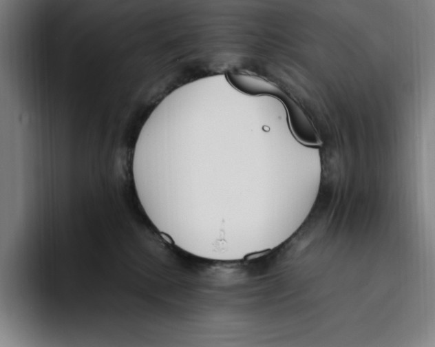 X0000093390280200711081612