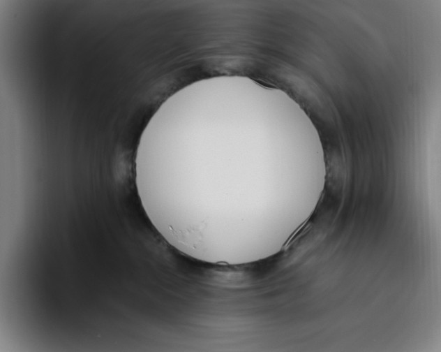 X0000093390284200711081612