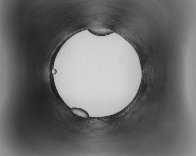 X0000093390290200711081611