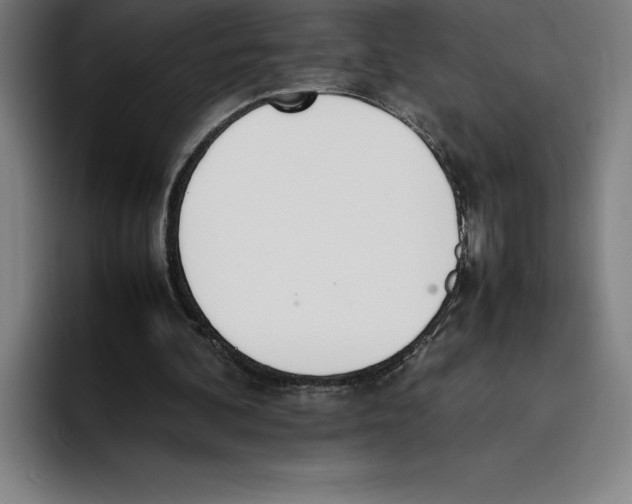 X0000093390292200711081611