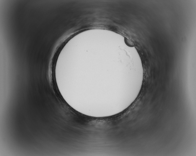 X0000093390294200711081611