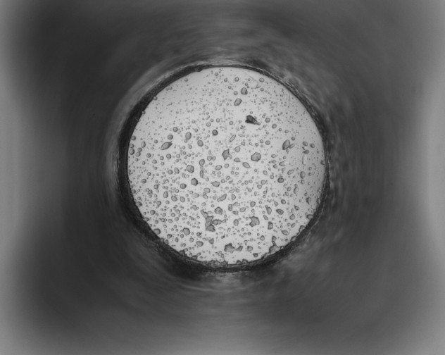 X0000093390295200711081611