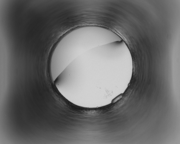 X0000093390301200711081611