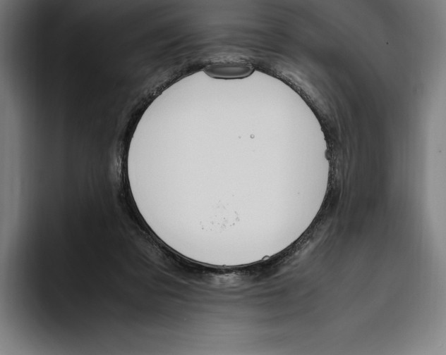 X0000093390309200711081611