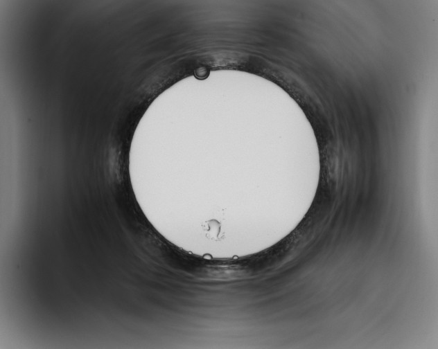 X0000093390316200711081611