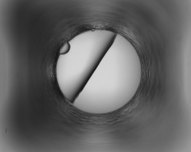 X0000093390317200711081611