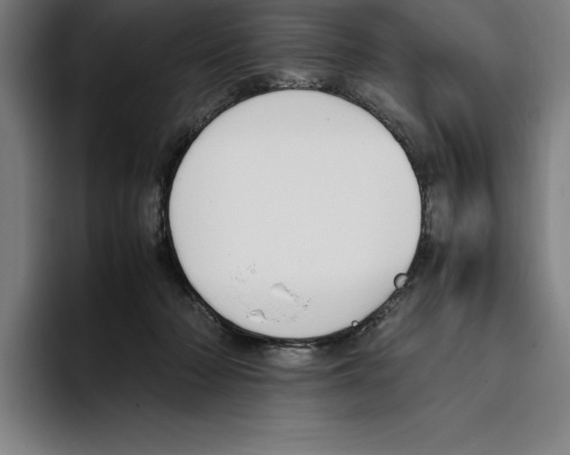 X0000093390318200711081611