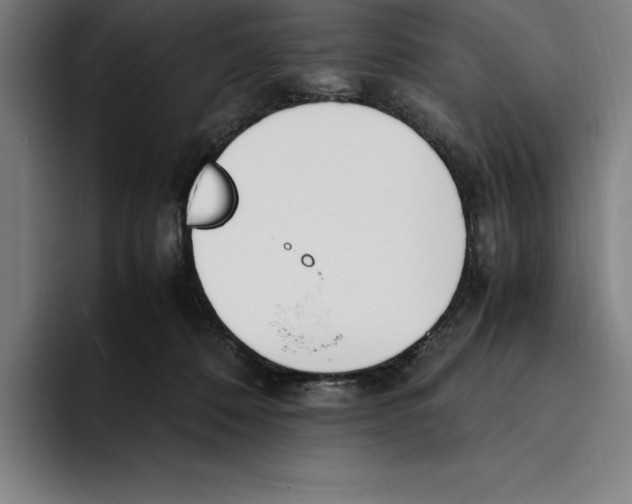 X0000093390320200711081611