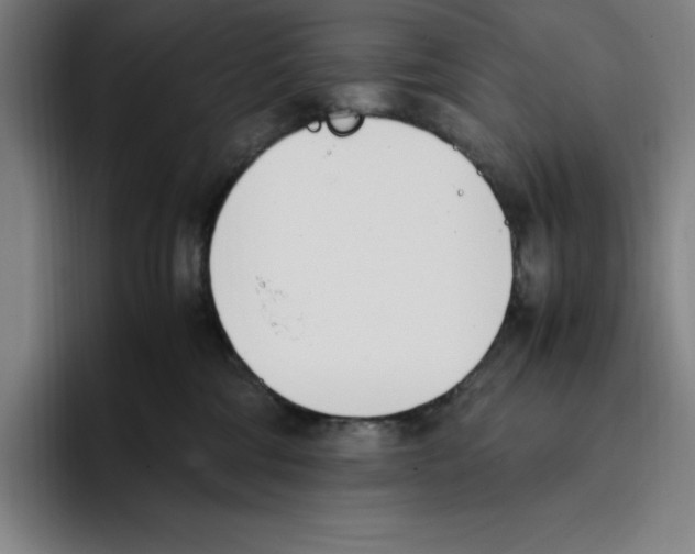 X0000093390330200711081611