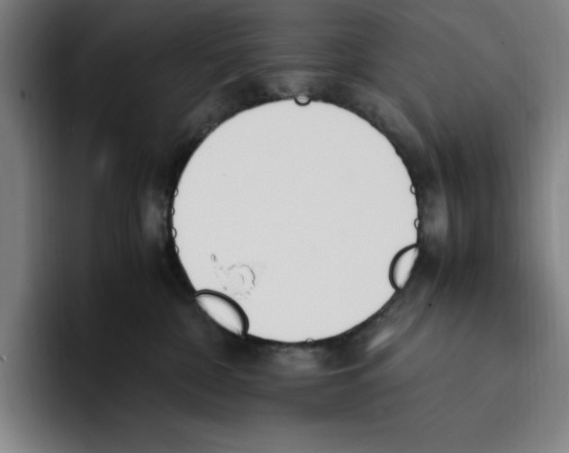 X0000093390332200711081610