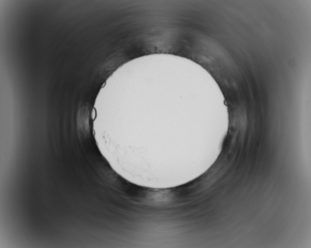 X0000093390334200711081610