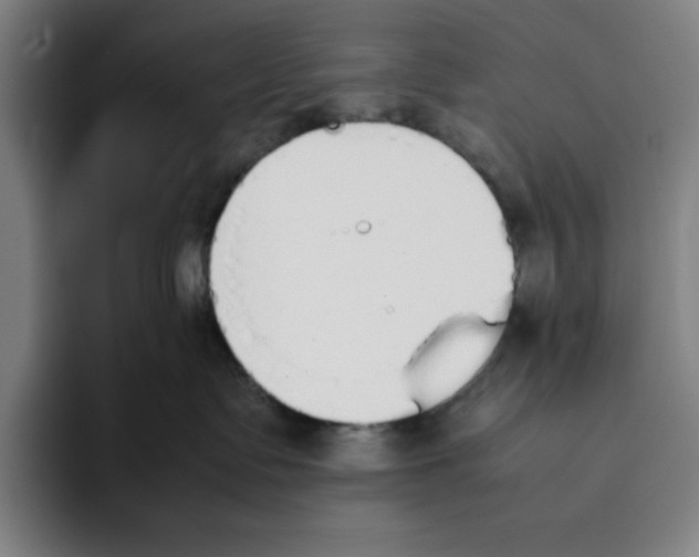 X0000093390335200711081610