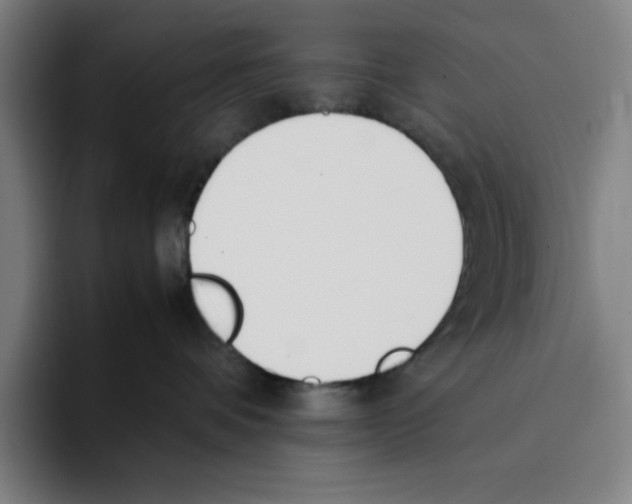 X0000093390336200711081610