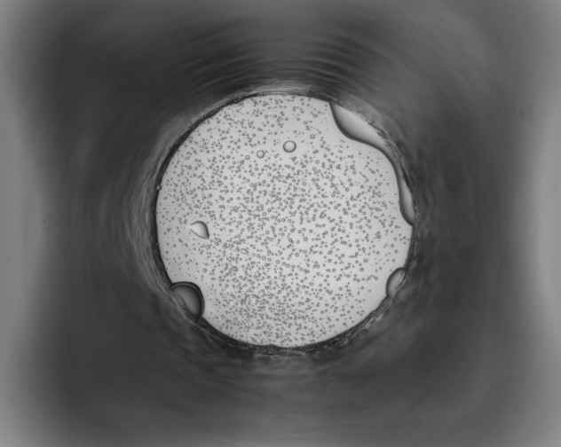 X0000093390337200711081610
