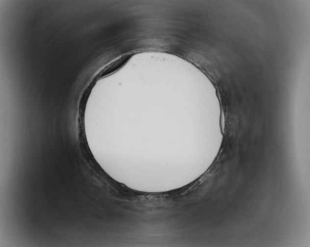 X0000093390338200711081610