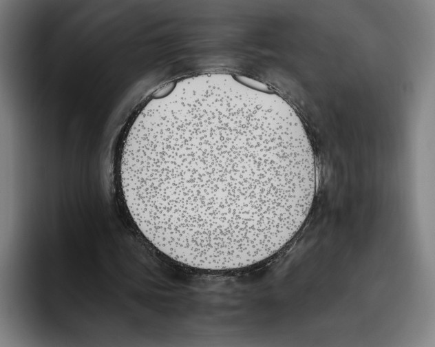 X0000093390339200711081610