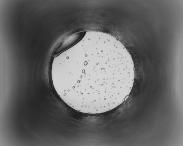 X0000093390341200711081610