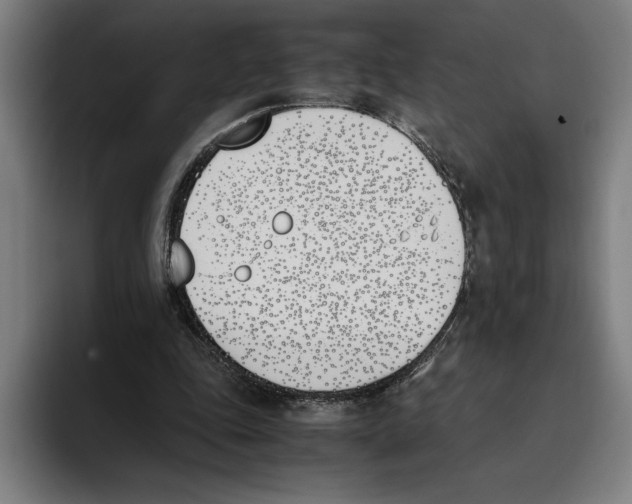 X0000093390343200711081610