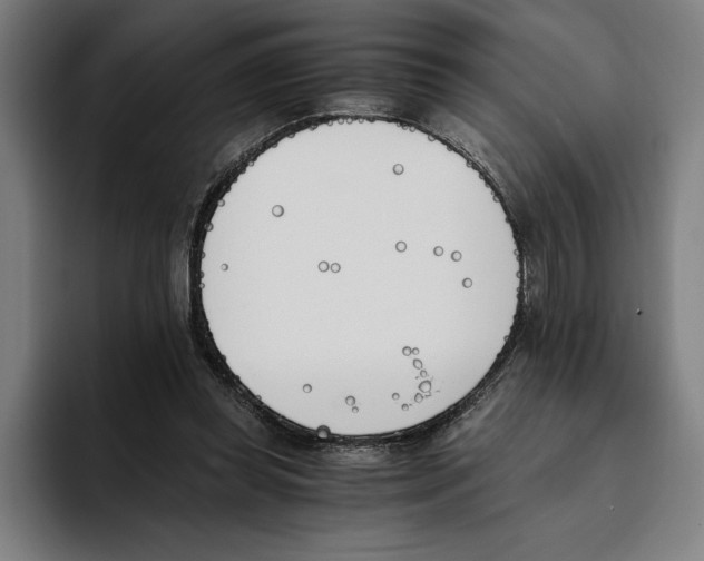 X0000093390349200711081610
