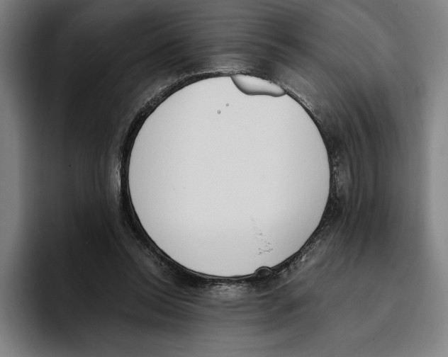 X0000093390350200711081610