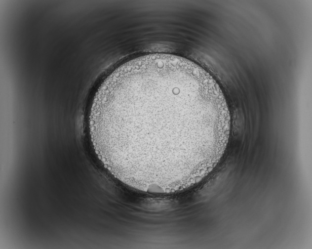 X0000093390351200711081610
