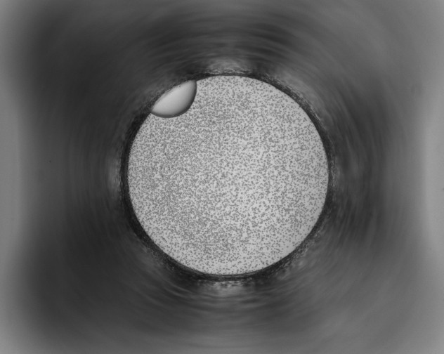 X0000093390353200711081610