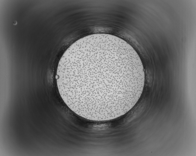 X0000093390357200711081610