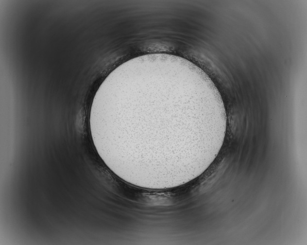 X0000093390359200711081610