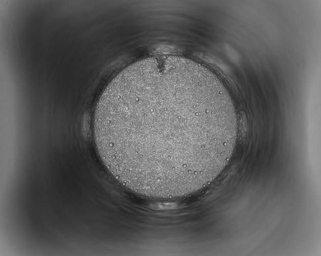 X0000093390361200711081610