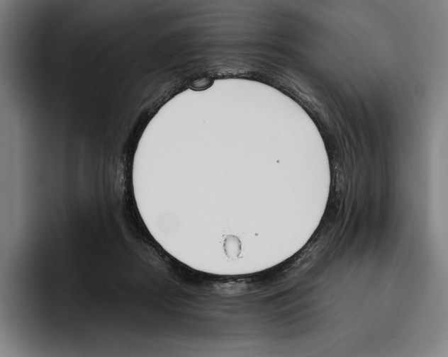 X0000093390362200711081610