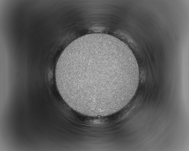 X0000093390365200711081610