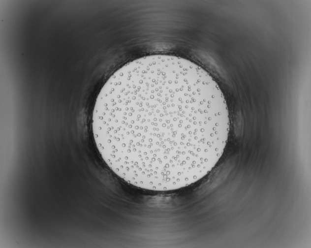 X0000093390366200711081610