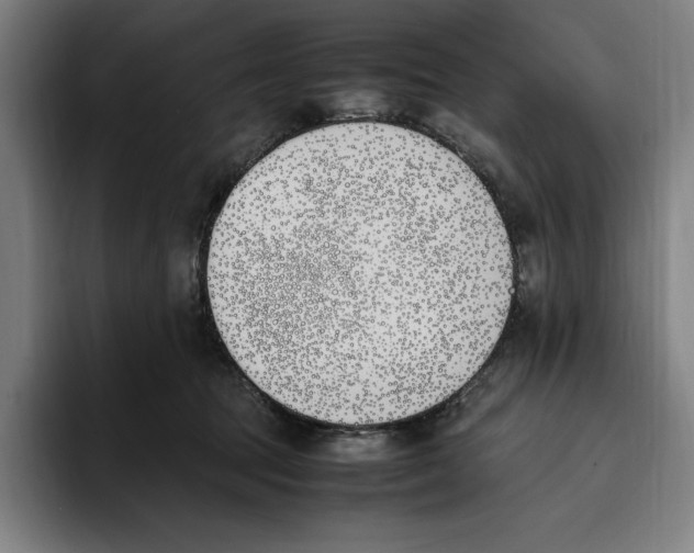 X0000093390369200711081610