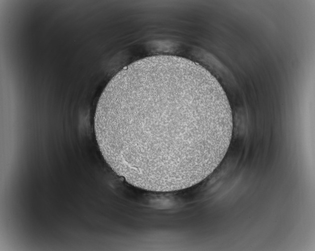 X0000093390377200711081610
