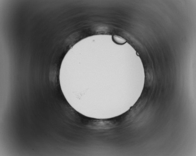 X0000093390379200711081610