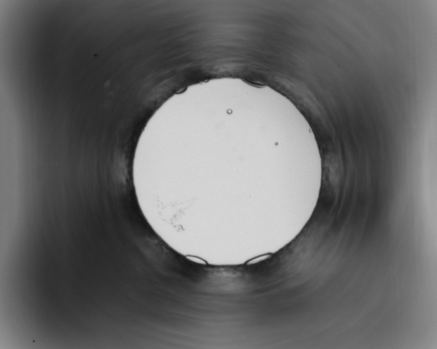 X0000093390380200711081610