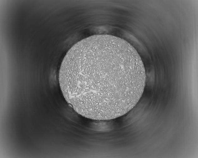 X0000093390381200711081610