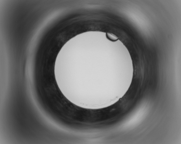 X0000093390383200711081610