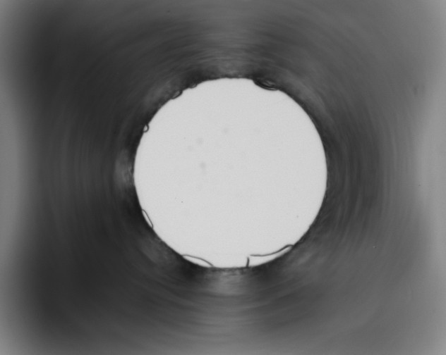 X0000093390384200711081610