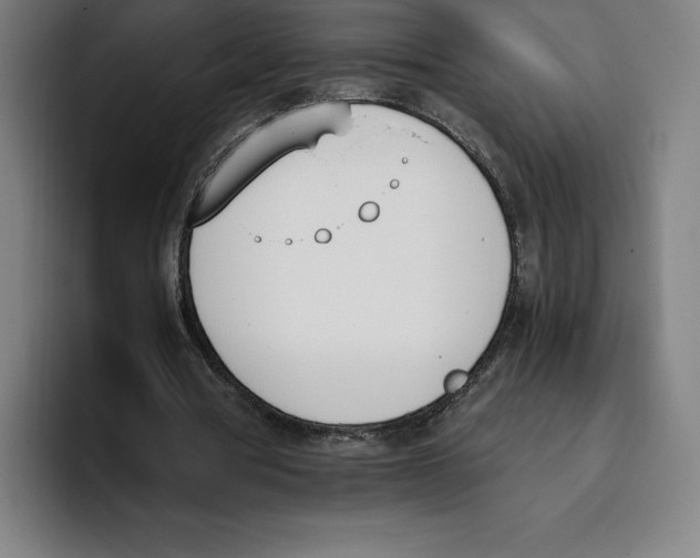 X0000093390386200711081610